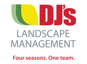 DJs-Landscape