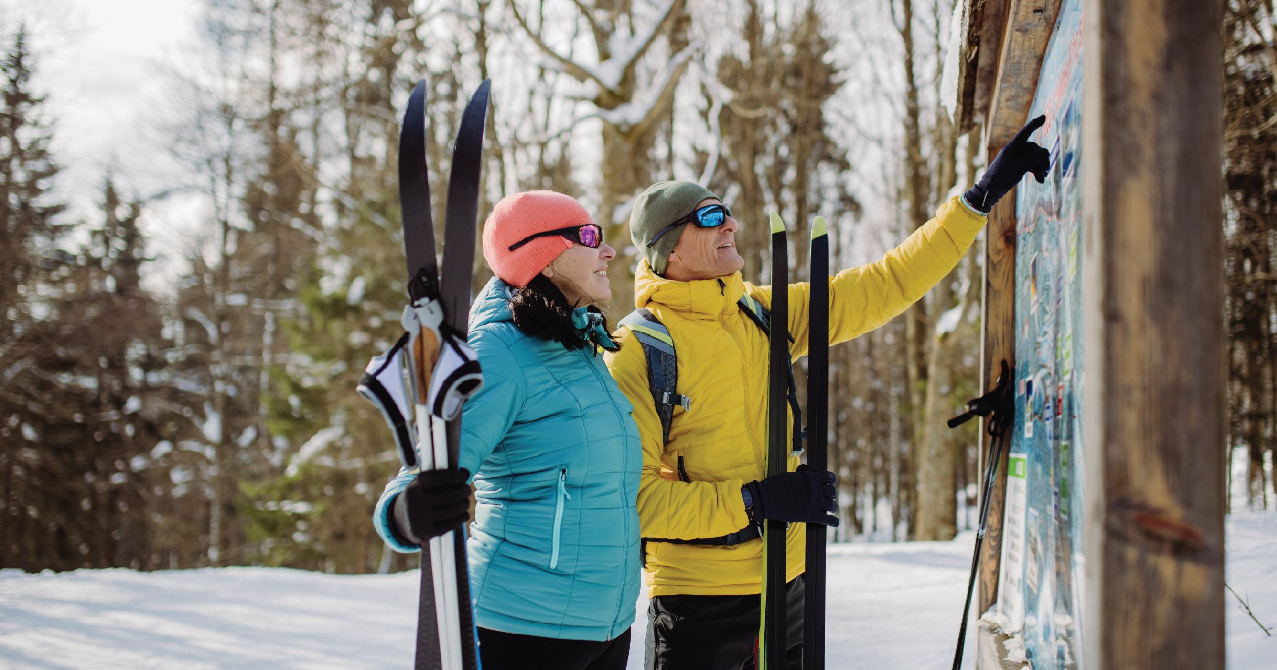 CD Plus Website Header