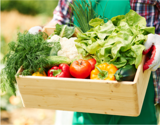 Someone holding box of vegetables. 